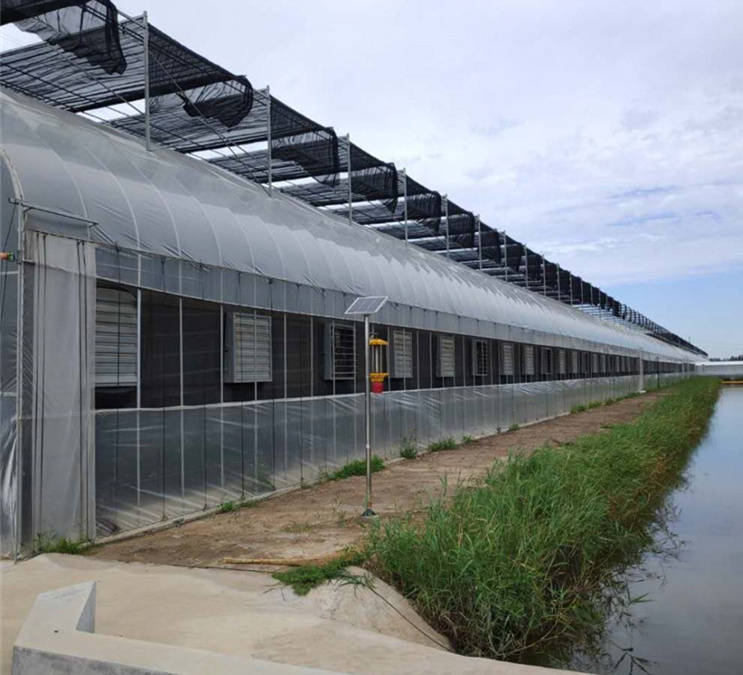 棗莊市太陽能玻璃溫室工程